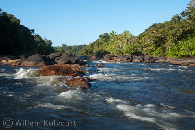 The Awadan rapid