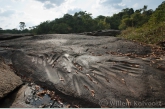 Grinding marks near the Awadan rapid