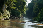 Gran Rio near Awadan rapid 