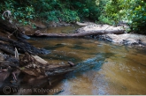 Creek near the rapid