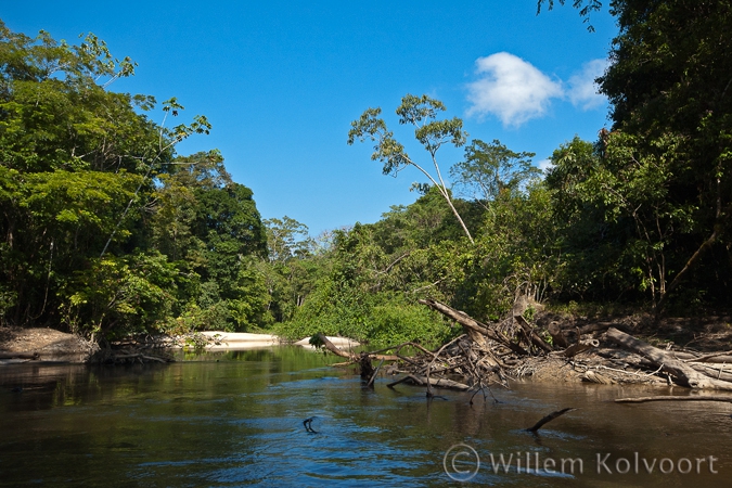 Anjanwoye creek near Danpaati