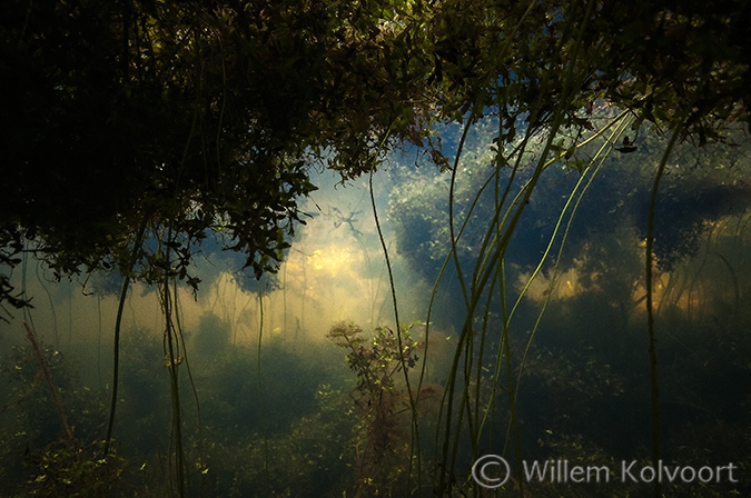 Slootlandschap in de Oude Wetering.