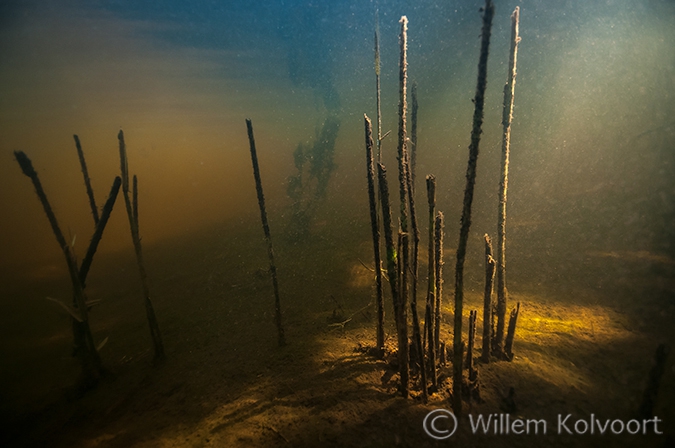 Onderwater in de Wieden.