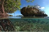 Landscape in the lagoon-entrance