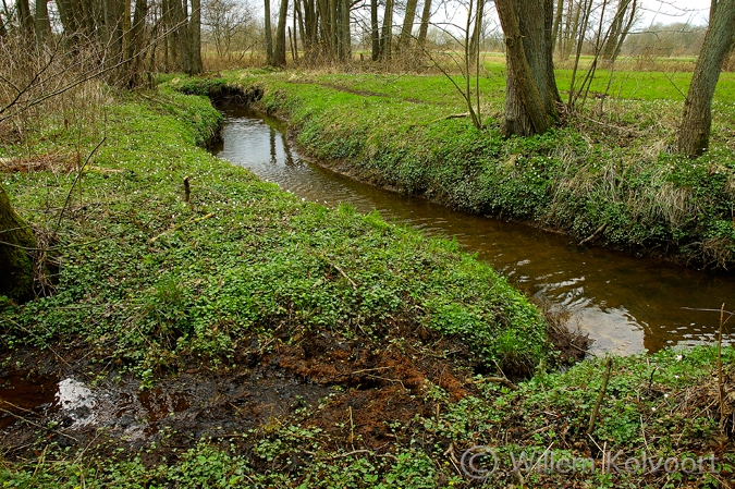 Anlooërdiepje