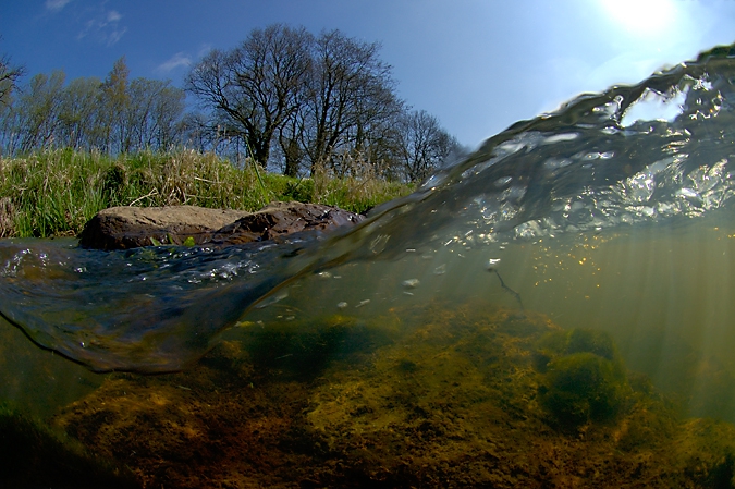 Streamlet over the stones, Gasterense Diep