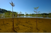 Lake Bollema