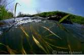 Stroming over de dam, Gasterense Diep