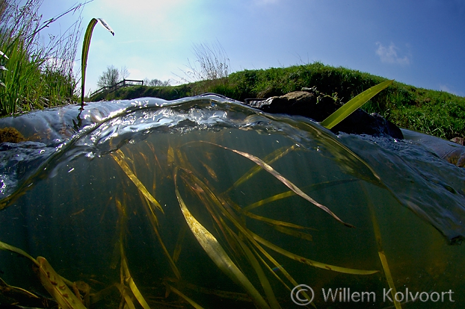 Stroming over de dam, Gasterense Diep