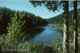 Cascapédia river