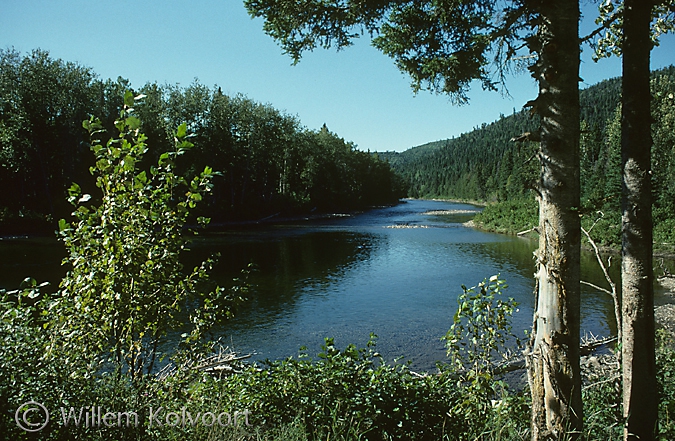 Cascapédia river