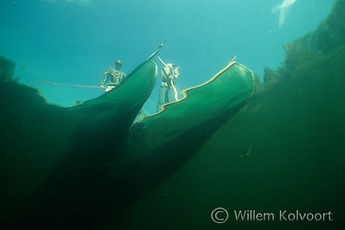 Tracing illegal fishing-nets