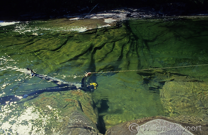 Hold on to a rope while photographing the salmon