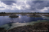 Kemeri Nationaal Park