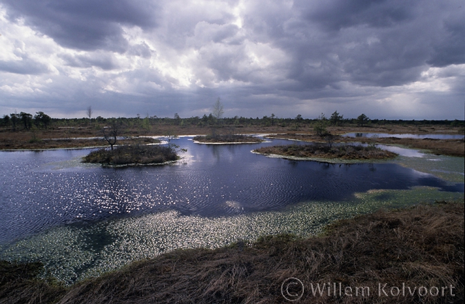 Kemeri Nationaal Park