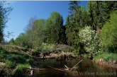 Lamprey-river, the Kauguri-canal