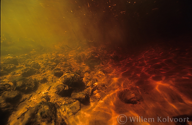 Red water from the peat-bog