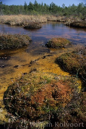 Sulpher lake