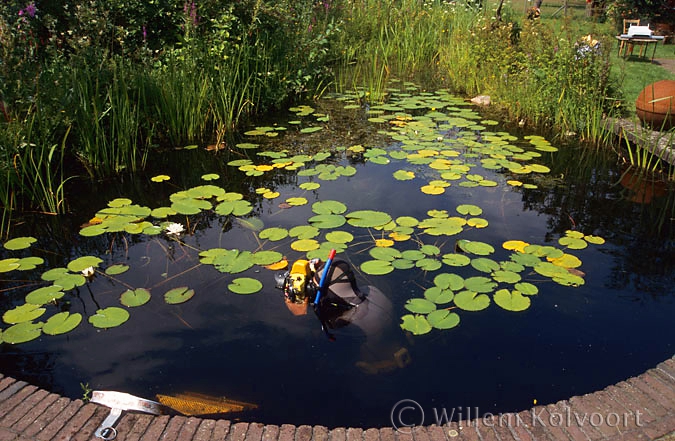 Willem in the pond