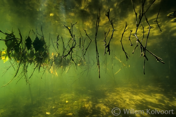 Reflections with little branches