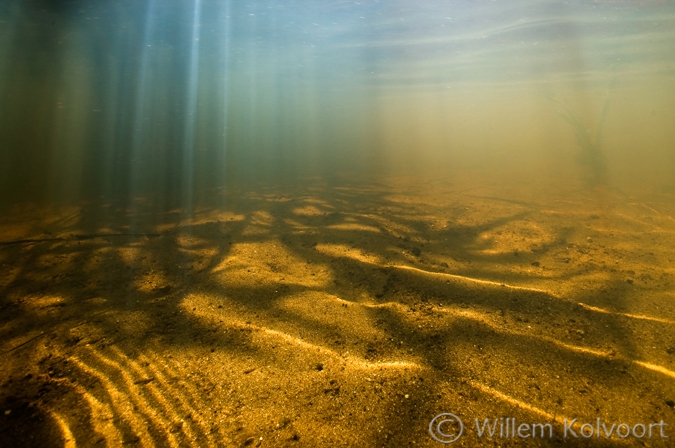 Shallow brook