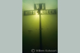 Witte kreek