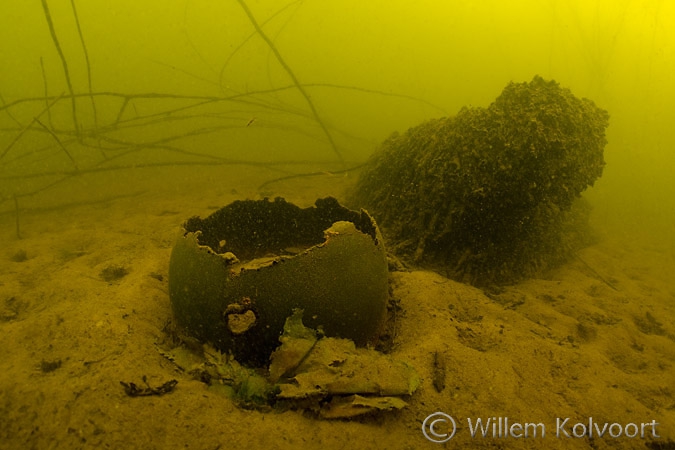 What rests from the drowned village