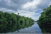 De Wiruni kreek in Guyana