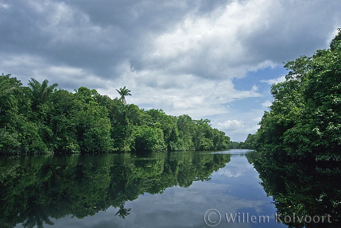 De Wiruni kreek in Guyana