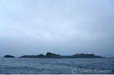 Island Belnahua