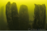 Roman embankment piles near Cuyk, 4th century A.D.