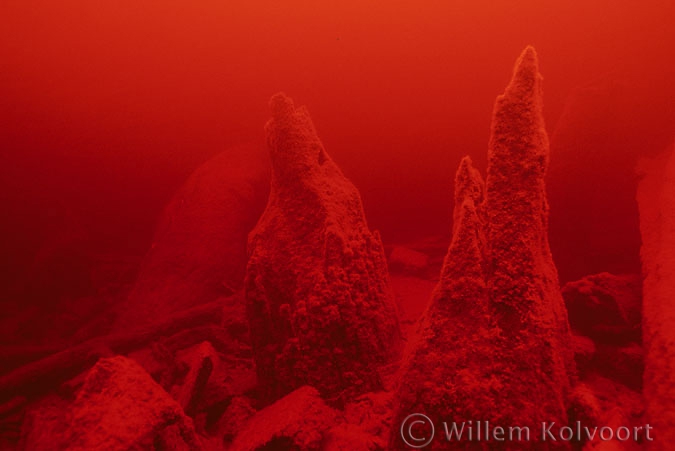 The remains of the jetty piles