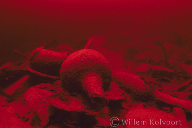 Wijnflessen in het natuurlijke licht